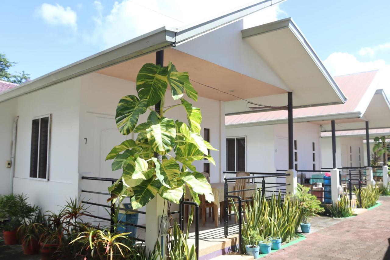 Ice Bear Bar & Tourist Inn Dauis ภายนอก รูปภาพ