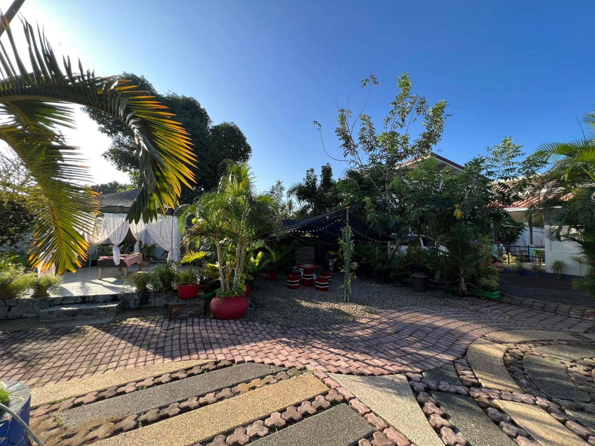 Ice Bear Bar & Tourist Inn Dauis ภายนอก รูปภาพ