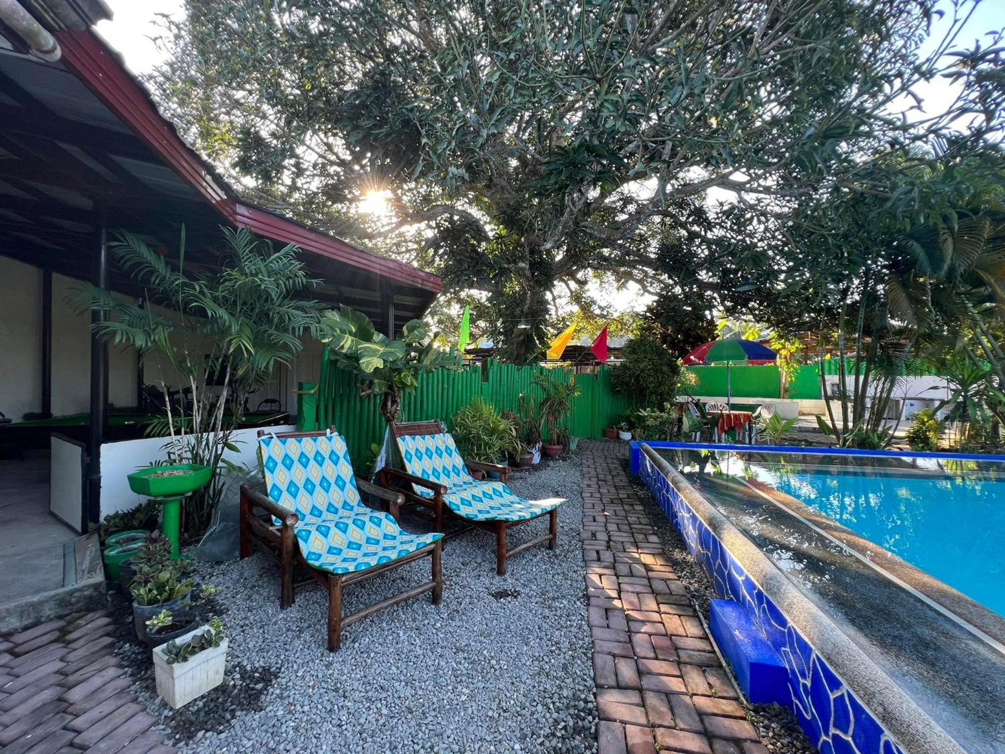 Ice Bear Bar & Tourist Inn Dauis ภายนอก รูปภาพ