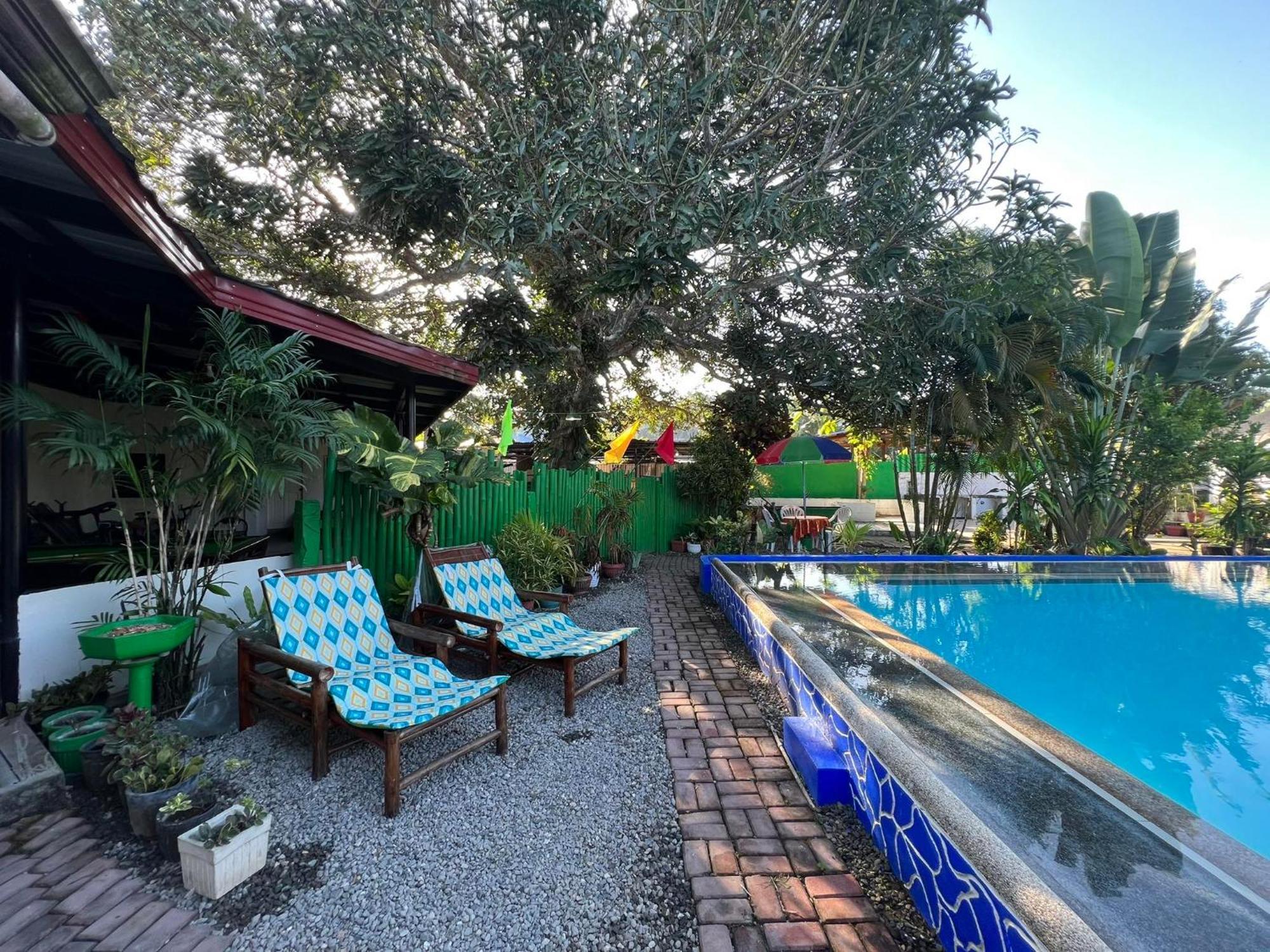 Ice Bear Bar & Tourist Inn Dauis ภายนอก รูปภาพ