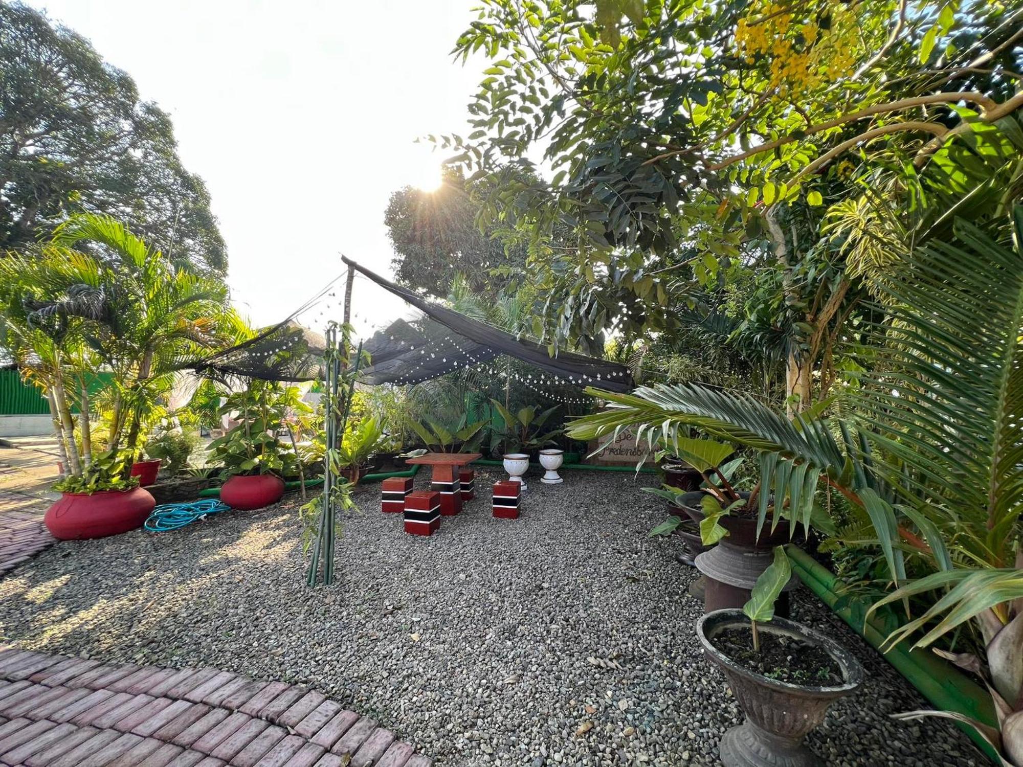 Ice Bear Bar & Tourist Inn Dauis ภายนอก รูปภาพ