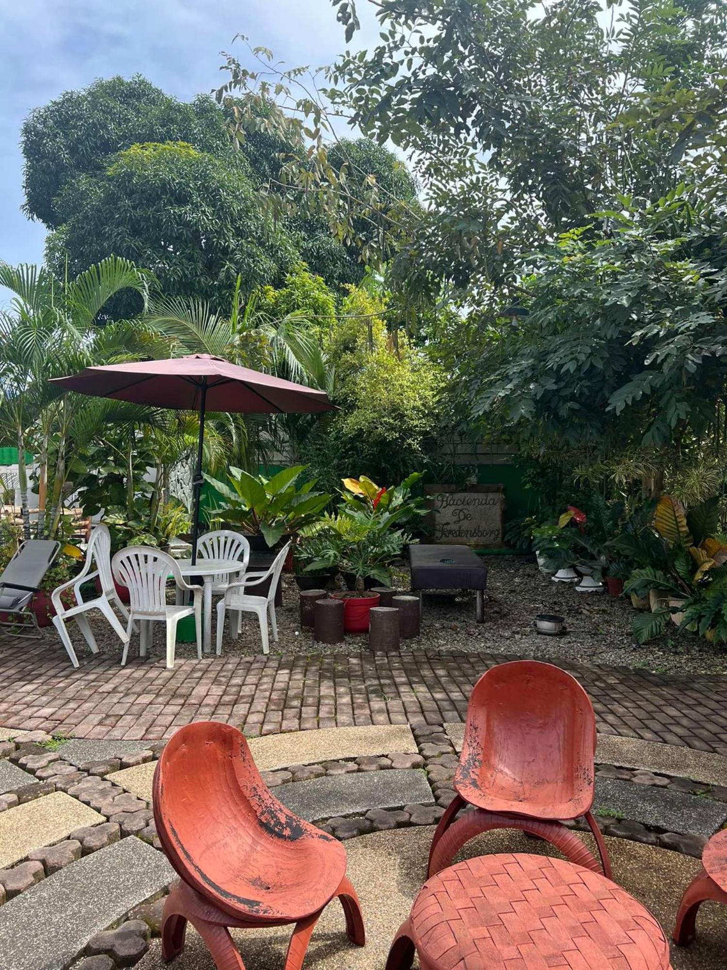 Ice Bear Bar & Tourist Inn Dauis ภายนอก รูปภาพ